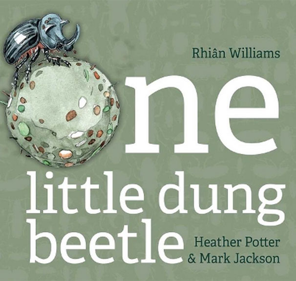 Dung Beetle Book Cover